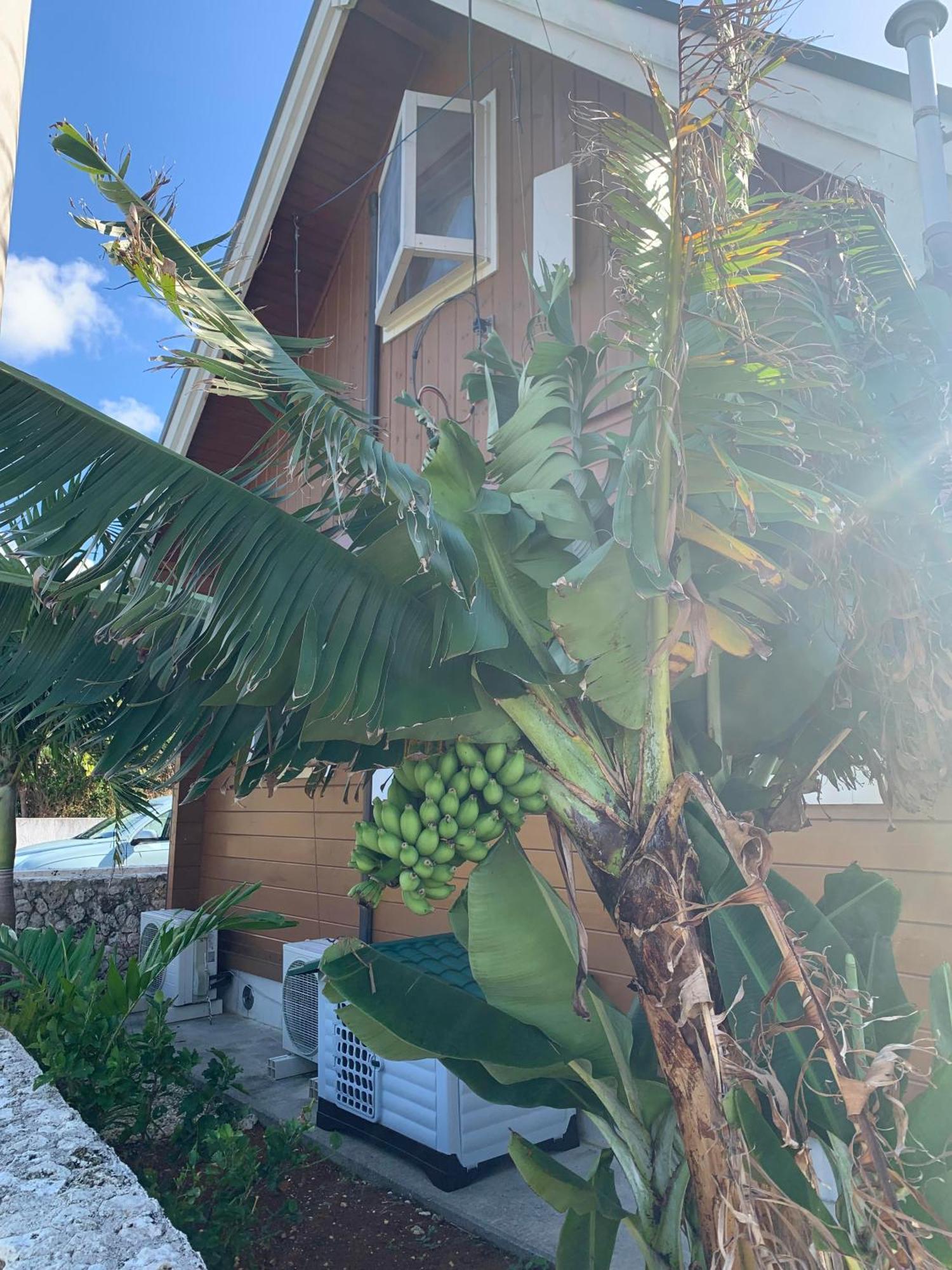 島ログ Villa Miyakojima  Exterior photo
